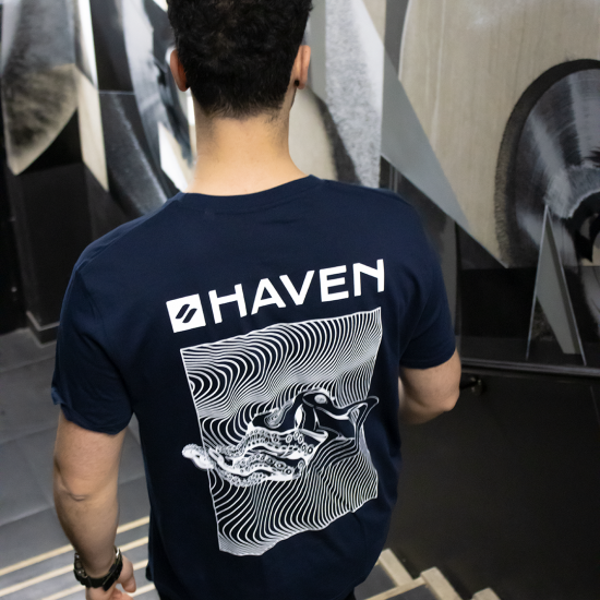 Havenshirtoctopus01img2672 bewerkt